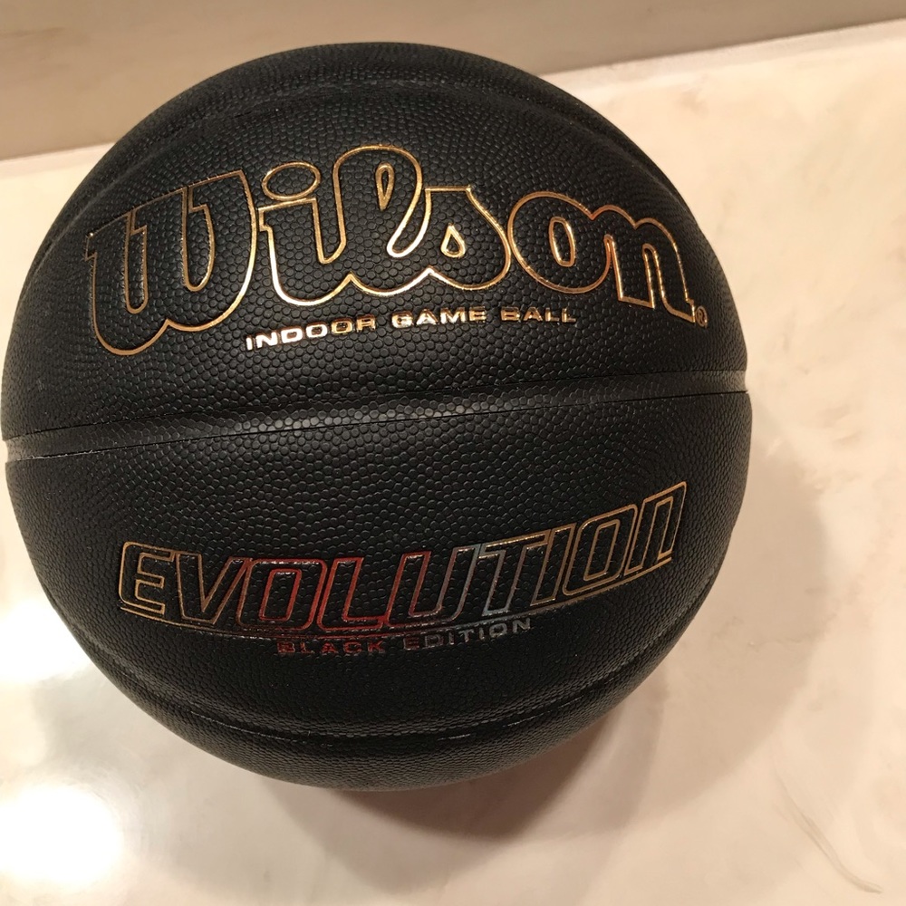 Indoor Wilson evolution basketball